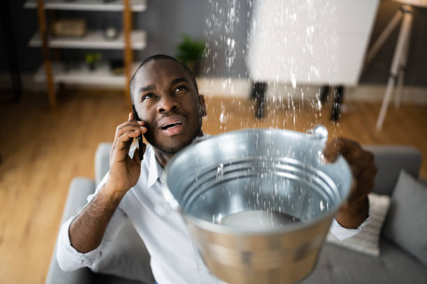 Best Flooded house restoration  in Pines Lake, NJ