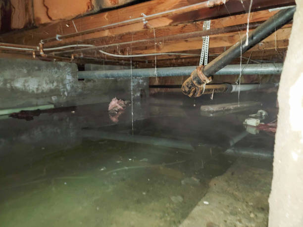 Best Residential water damage restoration  in Pines Lake, NJ