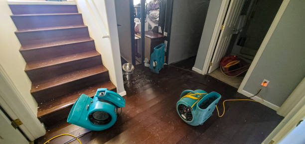 Best Local water damage restoration  in Pines Lake, NJ