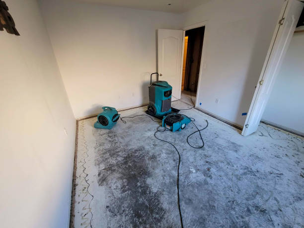 Best Commercial water damage restoration  in Pines Lake, NJ