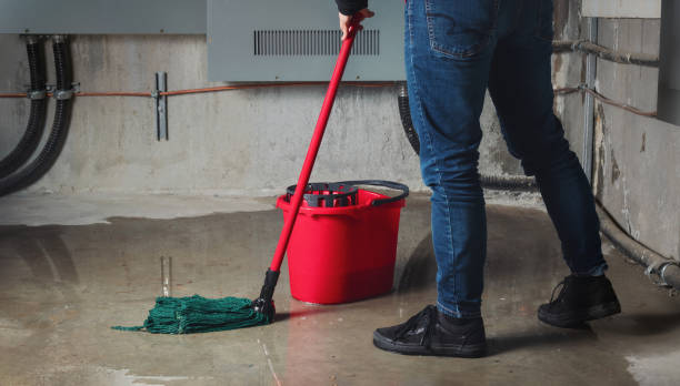 Best 24/7 water damage repair  in Pines Lake, NJ