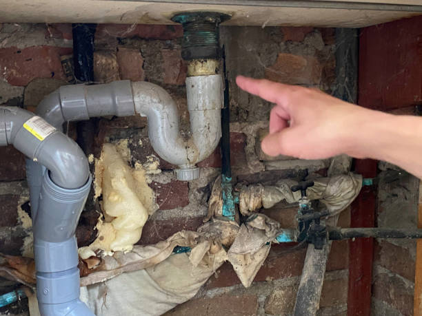 Best Water damage cleanup near me  in Pines Lake, NJ