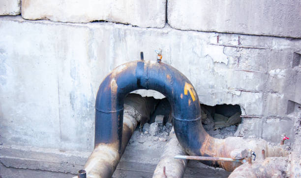 Best Water damage mitigation services  in Pines Lake, NJ