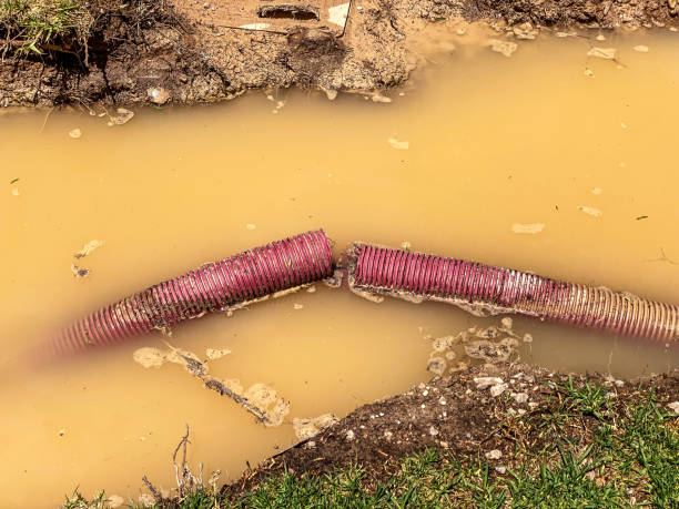 Best Water damage restoration near me  in Pines Lake, NJ