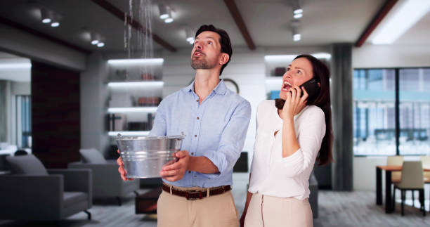 Best Flooded house restoration  in Pines Lake, NJ