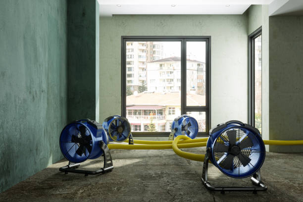 Best Water damage restoration near me  in Pines Lake, NJ